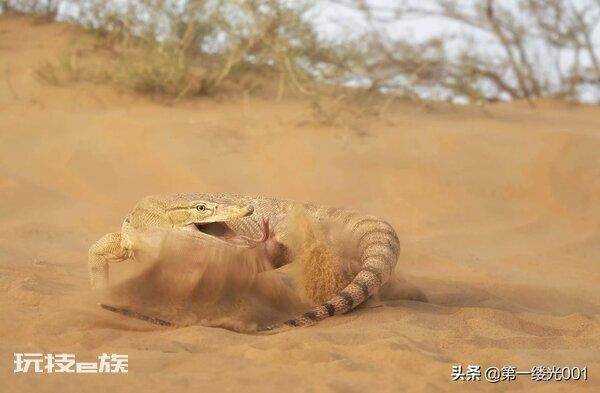撒哈拉大沙漠在哪里(撒哈拉沙漠地区的地理位置情况)-图片4